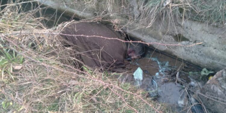 Unidentified male body found in Anantnag Unidentified male body found in Anantnag