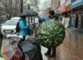 Overnight heavy rainfall brings back chill again in Valley Weather to remain erratic till March 15 in Jammu and Kashmir