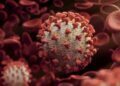 COVID-19: 'Variants Of Concern' from Brazil, UK, S.A and a novel variant found in 18 states, says Centre COVID-19: ‘Variants Of Concern’ from Brazil, UK, S.A and a novel variant found in 18 states, says Centre