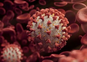 COVID-19: ‘Variants Of Concern’ from Brazil, UK, S.A and a novel variant found in 18 states, says Centre