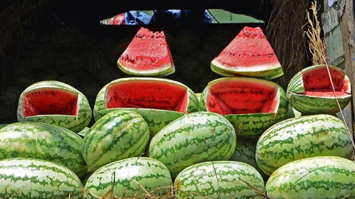 Kashmir consumes watermelons worth Rs 5 Cr a day