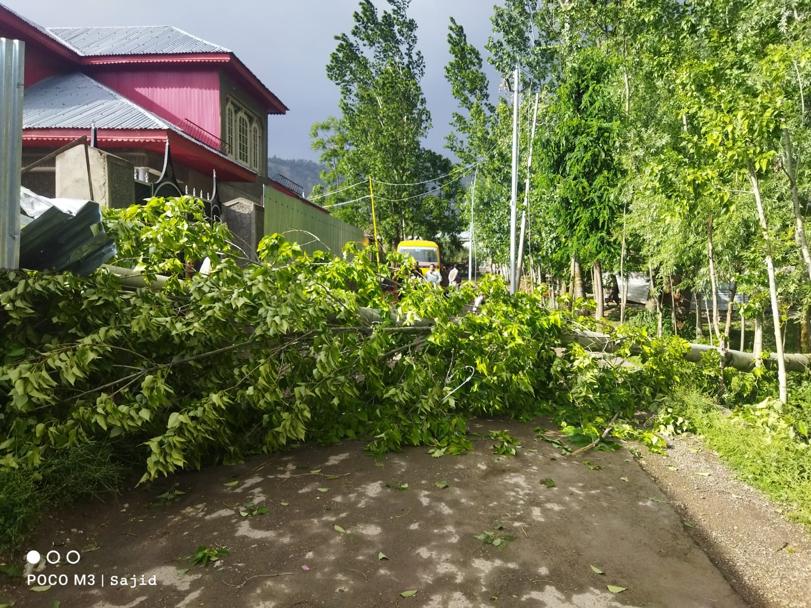 Windstorm: Woman killed in Anantnag