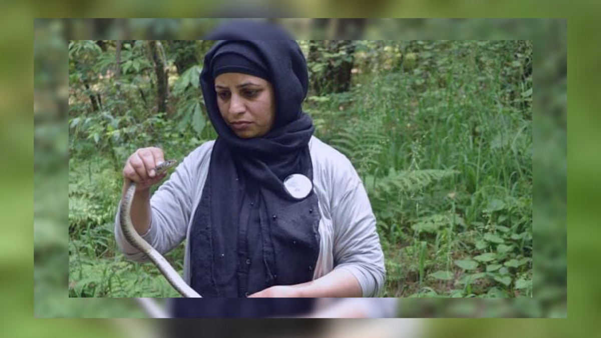 Aliya Mir: Kashmir’s lone female wildlife expert who rescues snakes, reptiles, wild animals in a ‘Play-Way Method’ Aliya Mir: Kashmir’s lone female wildlife expert who rescues snakes, reptiles, wild animals in a ‘Play-Way Method’