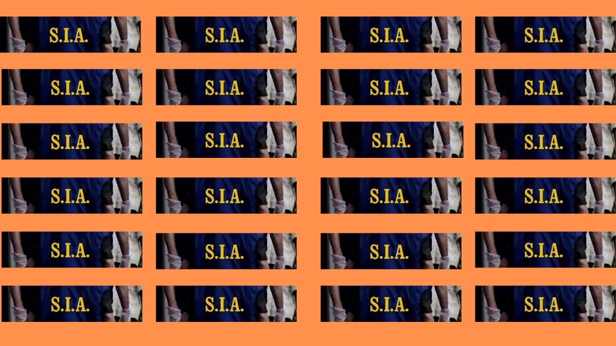 Militancy Case: SIA conducts multiple raids across Kashmir Militancy Case: SIA conducts multiple raids across Kashmir