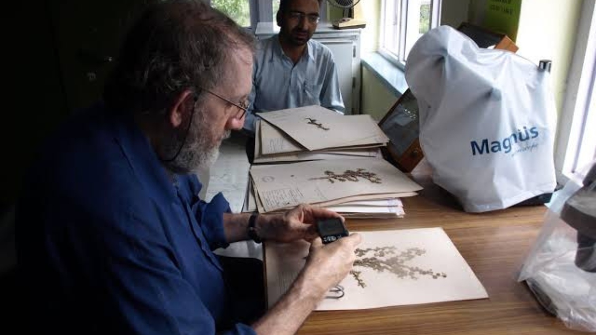 KU’s Herbarium declared 3rd largest in North-western Himalayas KU’s Herbarium declared 3rd largest in North-western Himalayas