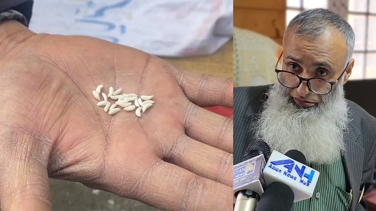 No distribution of plastic rice to consumers, 1 percent Folic acid, Vitamin B12, Iron being added to rice: Dir FCS&CA Asian News Hub