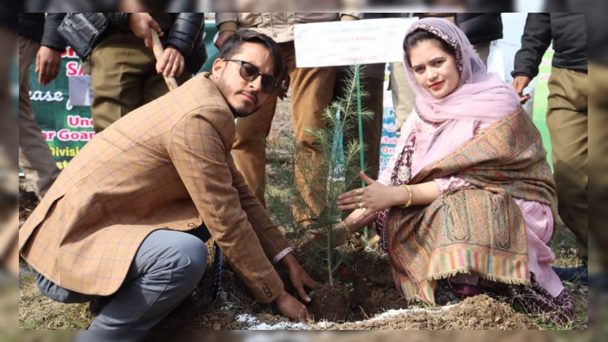 Newly-wed couple kick start plantation drive in south Kashmir