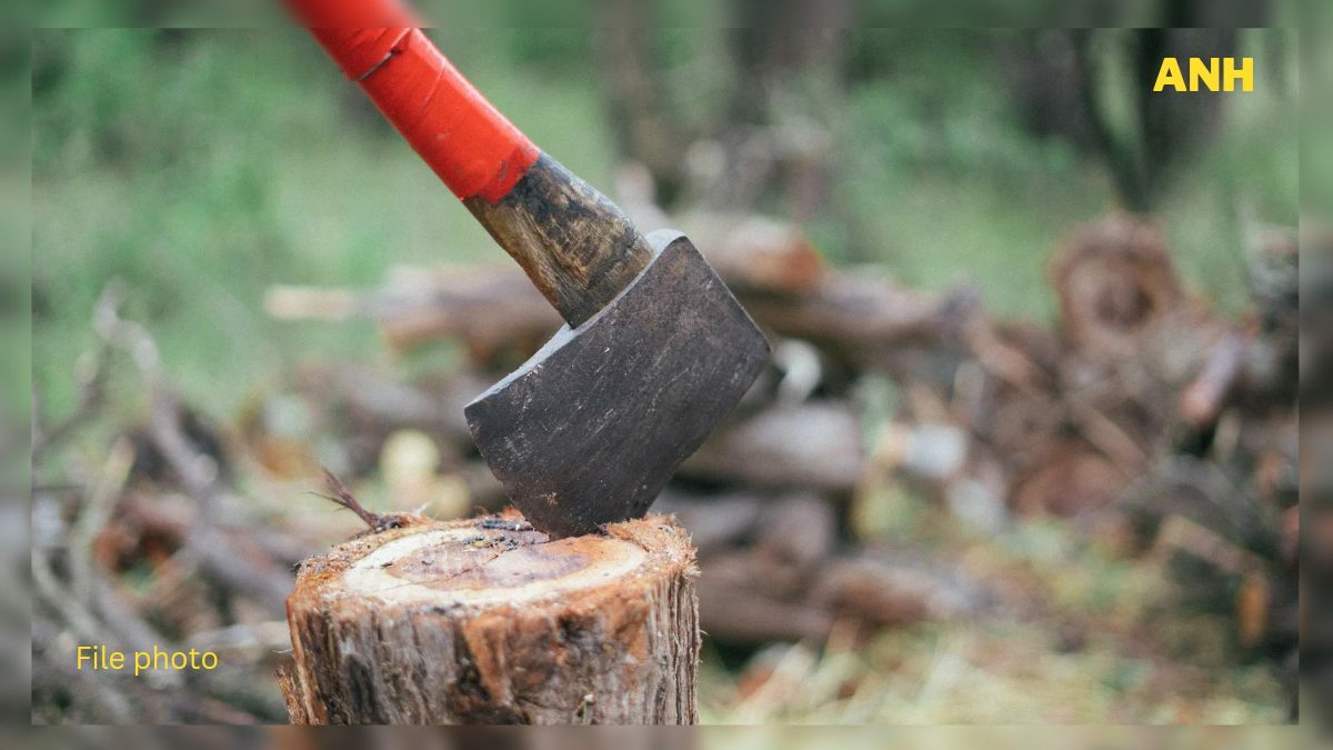 New Land Laws: 58 out of 59 structures in Gulmarg set to face axe, say hoteliers New Land Laws: 58 out of 59 structures in Gulmarg set to face axe, say hoteliers