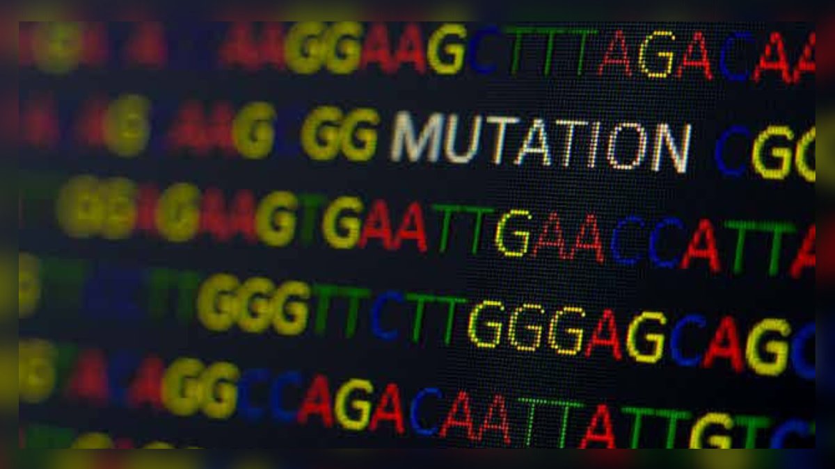 Genome sequencing lab at GMC Srinagar to be made functional in weeks' time: official Genome sequencing lab at GMC Srinagar to be made functional in weeks’ time: official