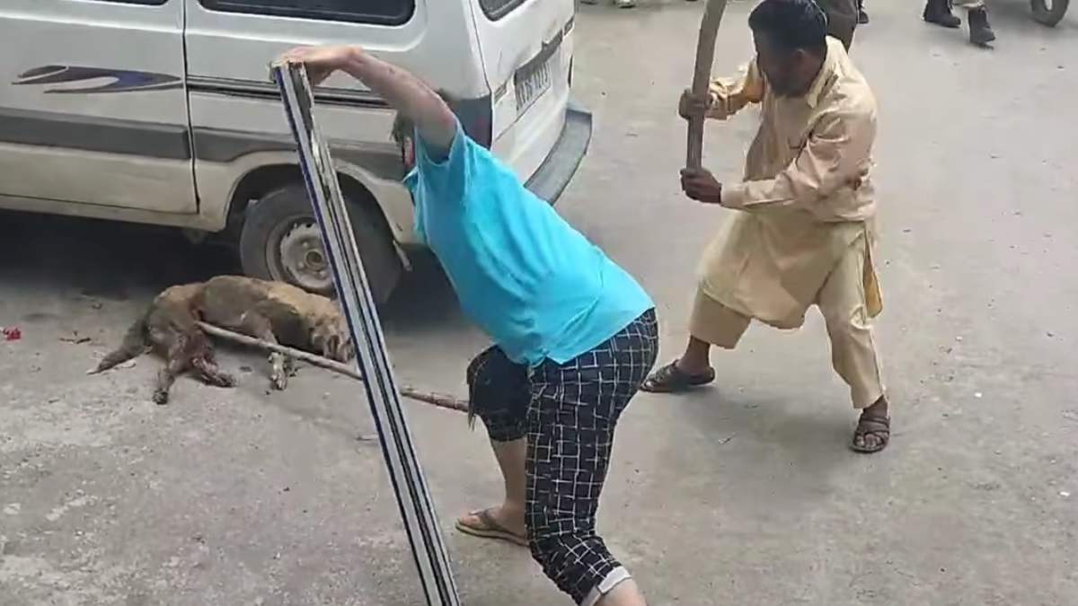 Two arrested for killing stray dog near Badamwari, Sgr