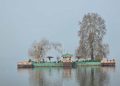 Srinagar records coldest night of season at minus 5.6 degree celsius Srinagar records coldest night of season at minus 5.3 degree celsius
