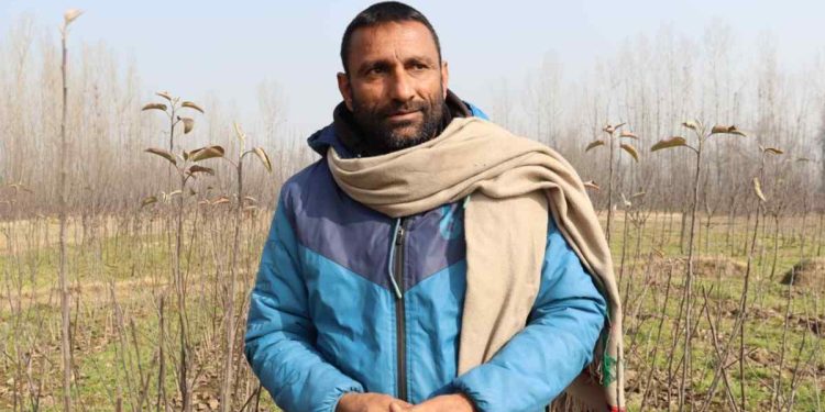 Kulgam man quits Govt job, emerges successful entrepreneur in nursery business Kulgam man quits Govt job, emerges successful entrepreneur in nursery business