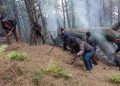 Dry spell triggers massive forest fire in Kulgam, 2 forest employees injured Dry spell triggers massive forest fire in Kulgam, 2 forest employees injured
