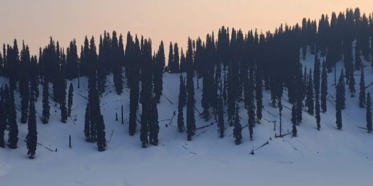 Tourism Department to register, train 100 female tourist guides