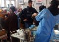 6 injured after being attacked by wild boar in Kulgam 6 injured after being attacked by wild boar in Kulgam