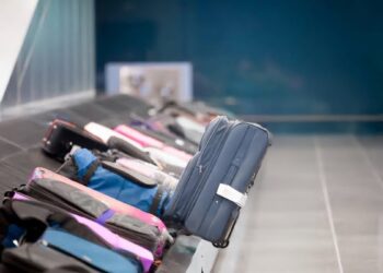 Deliver baggage within 30 minutes of landing: Regulator tells airlines