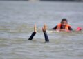 Budgam man's body retrieved from Jhelum in Sgr Representational image