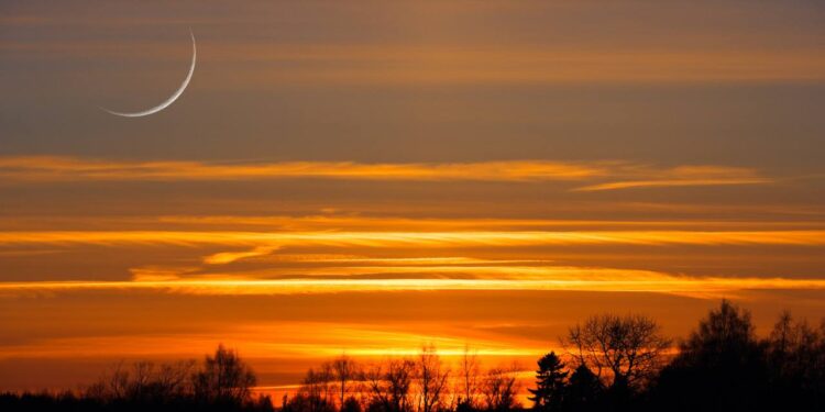 Eid-ul-Fitr on April 11: Shahi Imam Jama Masjid Delhi Eid-ul-Fitr on April 11: Shahi Imam Jama Masjid Delhi