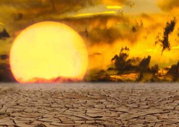 IMD forecasts heat wave across most of India in June