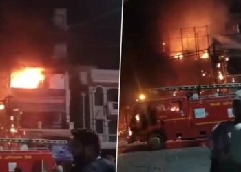 Seven newborns die in fire at East Delhi children’s hospital