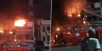 Seven newborns die in fire at East Delhi children’s hospital
