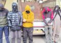 Gbl Police Solve Livestock Theft Case: Six Arrested, Stolen Sheep, Goats Recovered Gbl Police Solve Livestock Theft Case: Six Arrested, Stolen Sheep, Goats Recovered