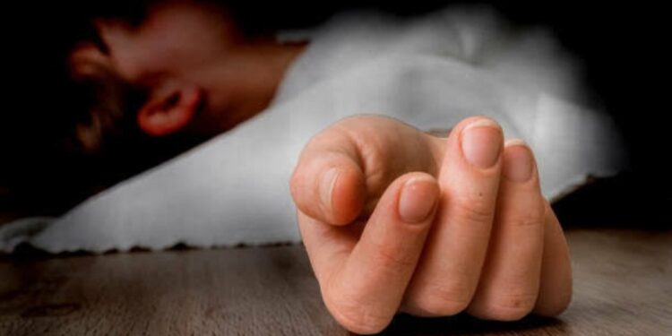 Mysterious Disease Claims Another Life in J&K's Rajouri, Death Toll Rises to 14 Body of Missing Srinagar Woman Recovered in Aharbal, Kulgam