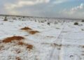 For the first time ever, snow falls in the Saudi Arabian desert For the first time ever, snow falls in the Saudi Arabian desert