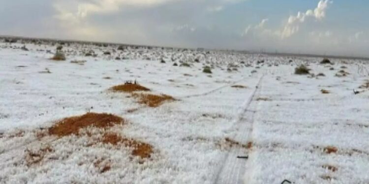 For the first time ever, snow falls in the Saudi Arabian desert For the first time ever, snow falls in the Saudi Arabian desert
