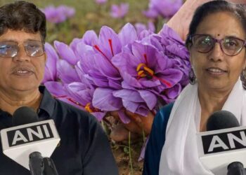 Indore Couple Creates ‘Mini-Kashmir’ at Home, Successfully Cultivates Saffron in Artificial Climate