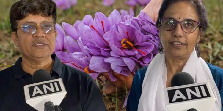 Indore Couple Creates ‘Mini-Kashmir’ at Home, Successfully Cultivates Saffron in Artificial Climate Indore Couple Creates ‘Mini-Kashmir’ at Home, Successfully Cultivates Saffron in Artificial Climate