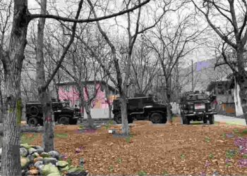 Sopore Encounter: Injured Soldier Succumbs