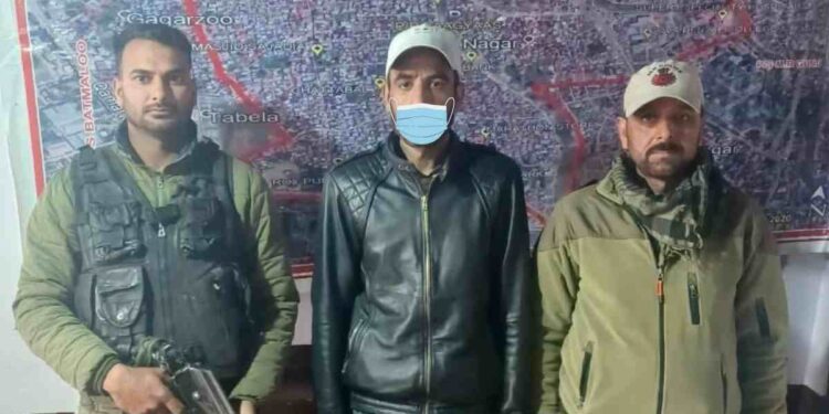 Criminal with over 30 Cases Arrested for Extortion in Srinagar Criminal with over 30 Cases Arrested for Extortion in Srinagar