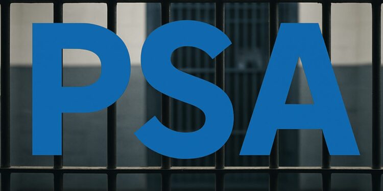 Shopian Police Book Two Notorious Thieves Under PSA Three Booked Under PSA in Sopore for Anti-National Activities