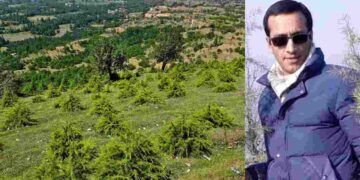 How Journalist Rifat Abdullah Transformed Barren Land into Urban Forest in Budgam