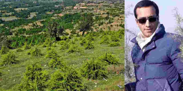 How Journalist Rifat Abdullah Transformed Barren Land into Urban Forest in Budgam How Journalist Rifat Abdullah Transformed Barren Land into Urban Forest in Budgam