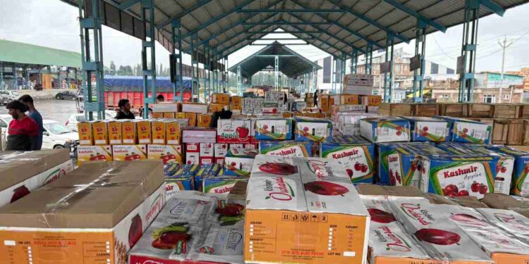 Nearly 100 Apple Crates Stolen from Shopian Orchard Nearly 100 Apple Crates Stolen from Shopian Orchard