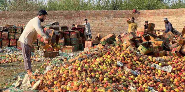 Opinion | Kashmir’s Economy Left to Rot on Highways