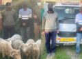 Ganderbal Police Crack Two Livestock Theft Cases, Recover Sheep Worth Lakhs; 3 Arrested Ganderbal Police Crack Two Livestock Theft Cases, Recover Sheep Worth Lakhs; 3 Arrested