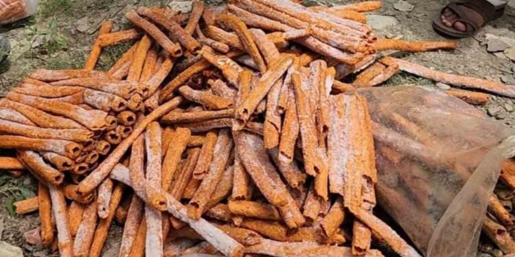 Kashmir Meat Scandal: Two Samples of Kababs, Roasted Chicken Found Unsafe in Srinagar