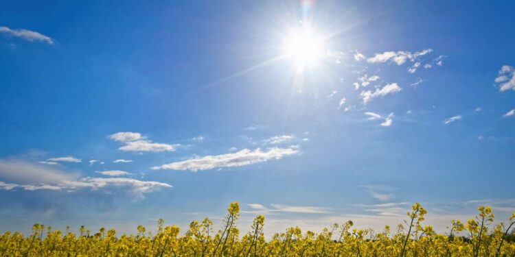 MeT Forecasts Dry Spell in J&K Until Oct 05 MeT Forecasts Dry Spell in J&K Until Oct 05